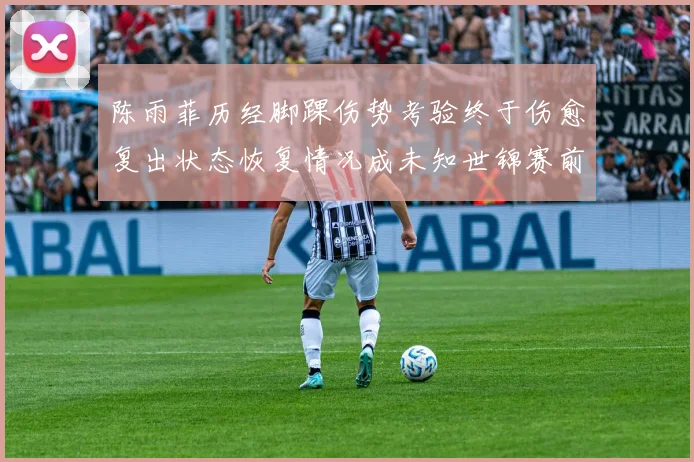 陈雨菲历经脚踝伤势考验终于伤愈复出状态恢复情况成未知世锦赛前景有待观察