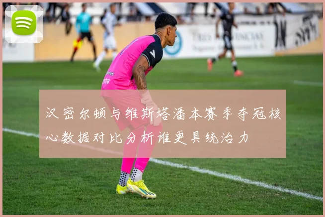 汉密尔顿与维斯塔潘本赛季夺冠核心数据对比分析谁更具统治力