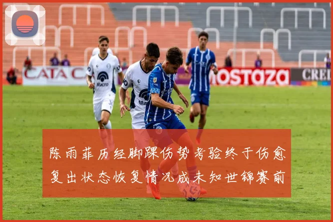 陈雨菲历经脚踝伤势考验终于伤愈复出状态恢复情况成未知世锦赛前景有待观察